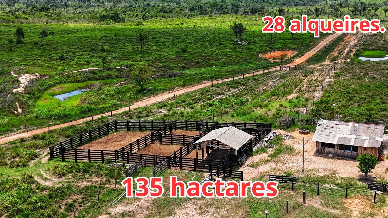 Fazenda, sítio, propriedade RURAL.  28 alqueires toda formada em São Félix do xingu Pará 