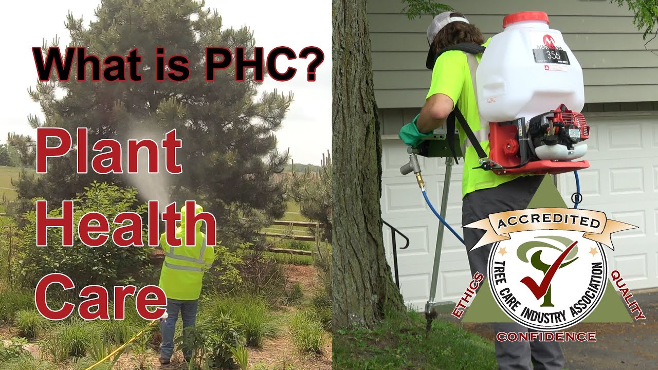 What does PHC mean?