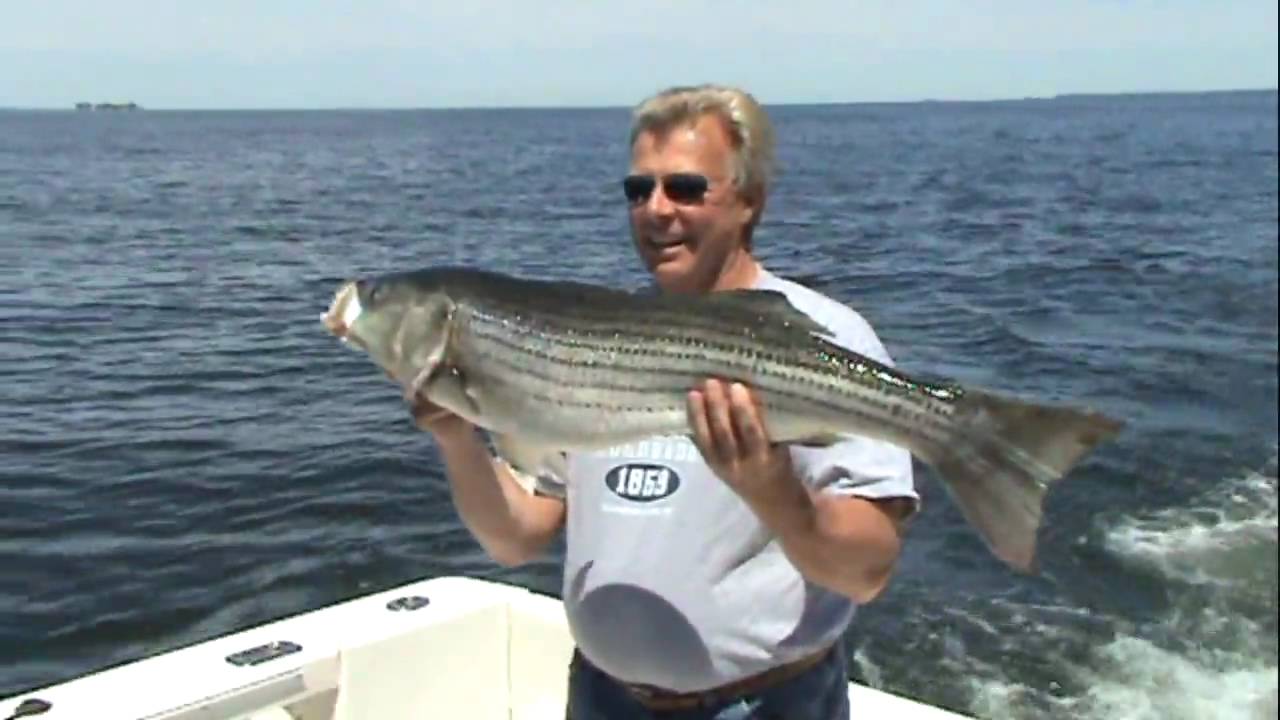 You're The Captain : Captain Chuck's Trophy Rockfish