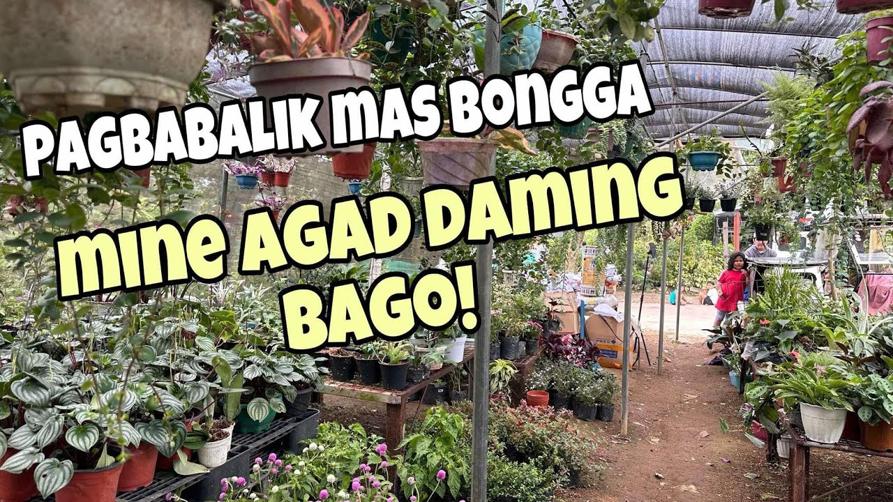 GRABE PAGBABALIK DAMING BAGO!!!