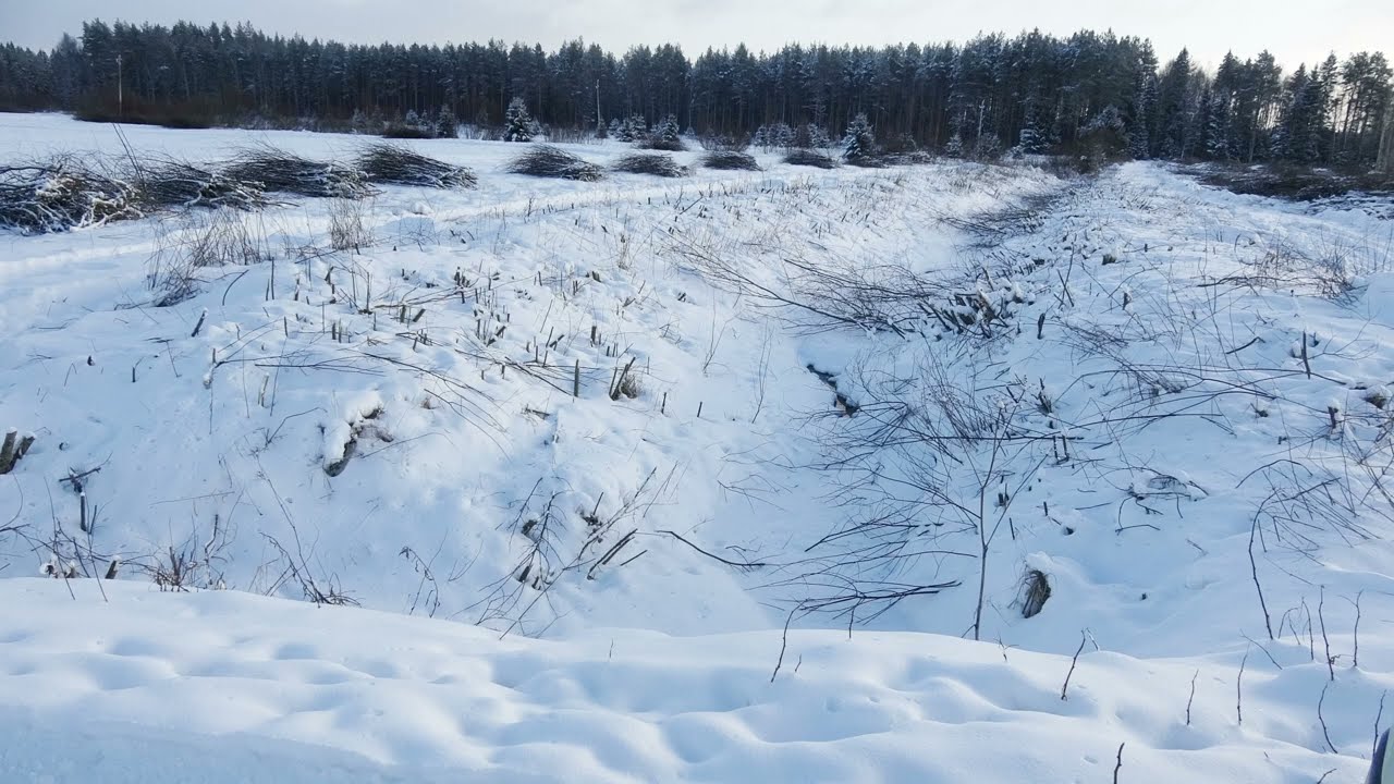Muuttuva maisema