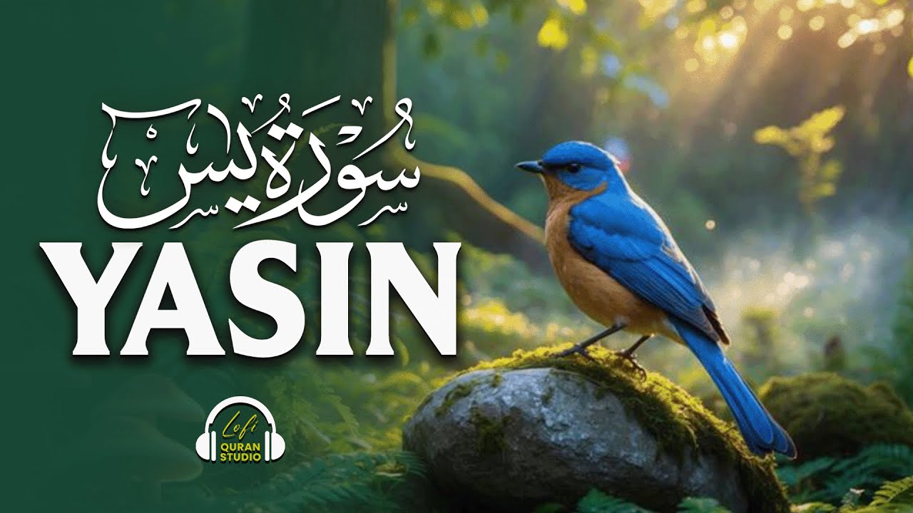 Surah Yaseen (سورة يس) | A Soul-Soothing Quran Recitation for Inner Peace