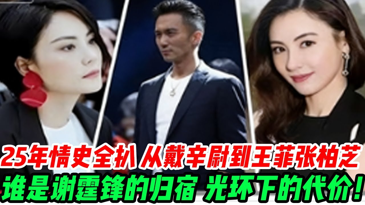 25年情史全扒！从戴辛尉到王菲张柏芝，谁是谢霆锋的终点？2025最新进展 独家揭秘：谢霆锋“最大赢家”光环下的惊人代价！#張柏芝#謝霆鋒#謝賢#王菲#謝振軒#謝振南#小Q#Lucas