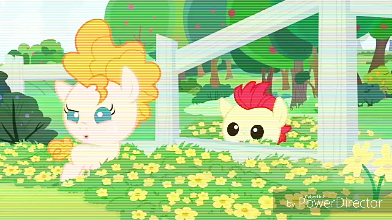 PMV my little transilvania (hicimos click) español latino