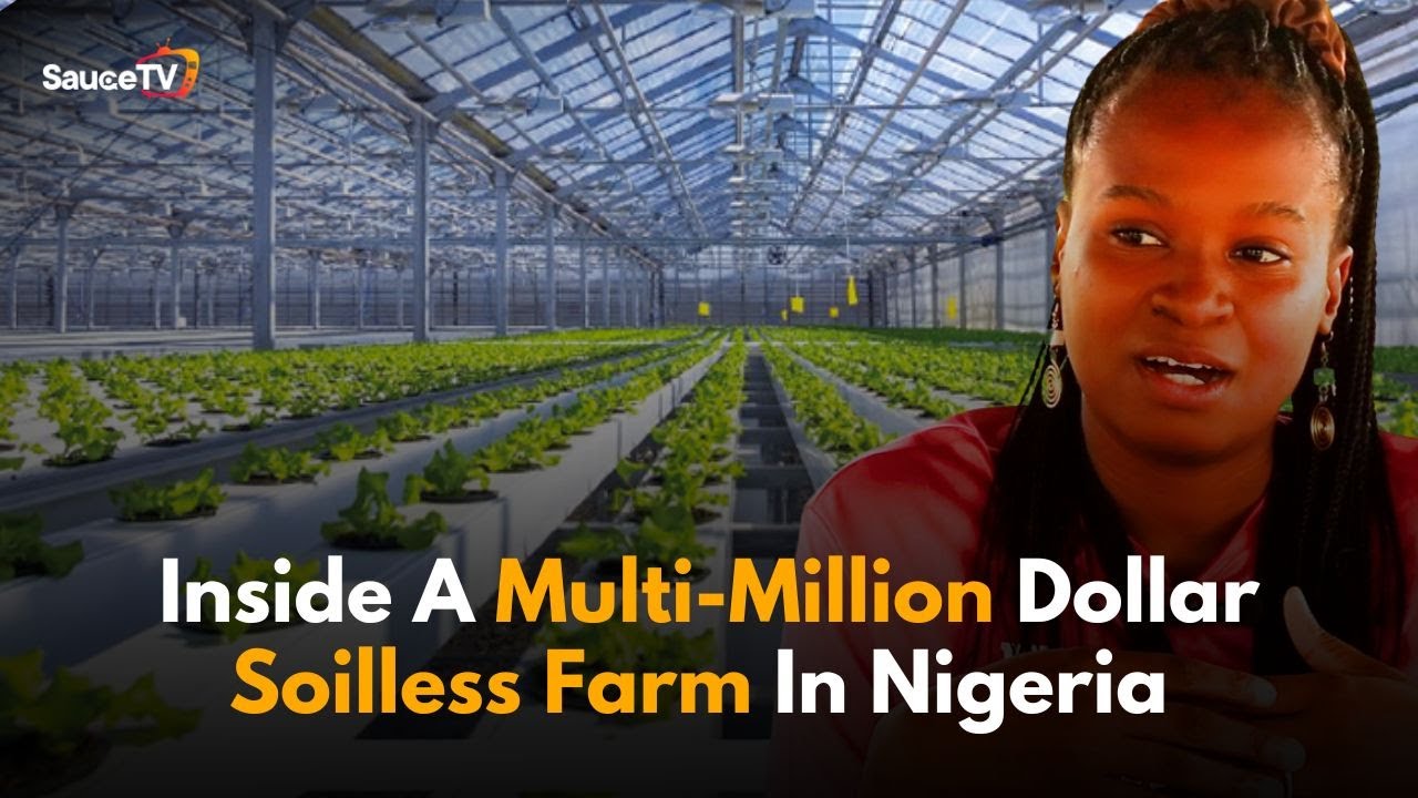 Inside A Multi-Million Dollar Soilless Farm In Nigeria