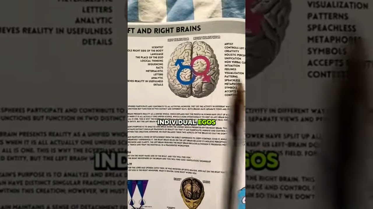 The Left and Right Hemisphere | Oneness 🧘&zwj;♂️ 🧠 🧘&zwj;♀️