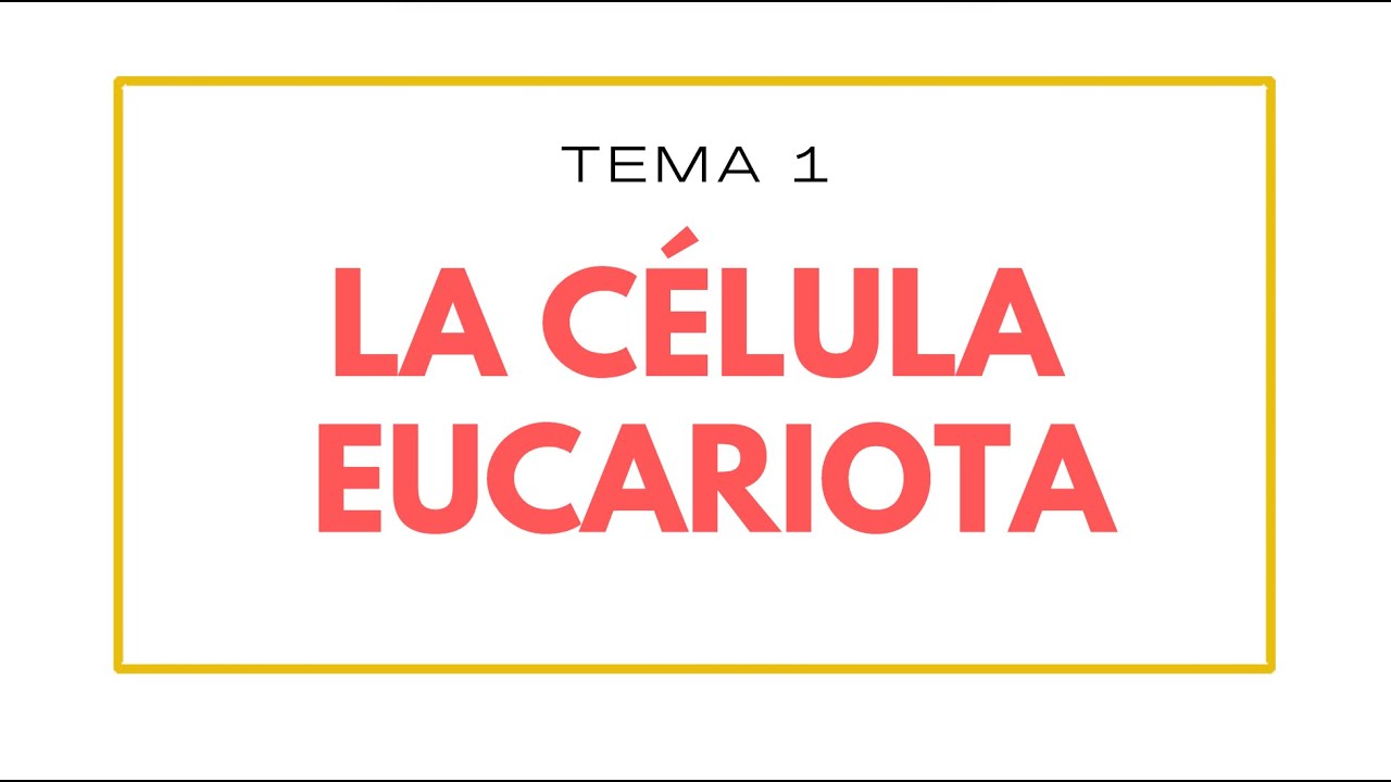 La célula eucariota | Biología | Psicología en podcast
