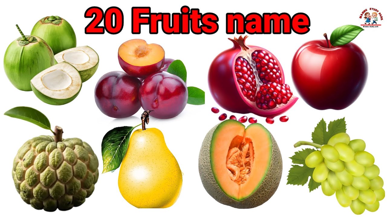 Fruits name in English and hindi। फलों के नाम अंग्रेजी में। Mannu_study_park। 