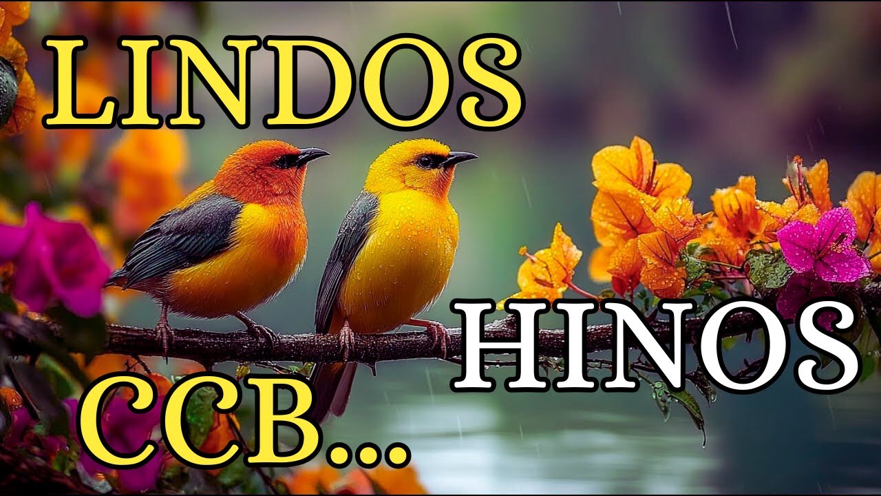 480 HINOS CCB CANTADOS- 21/02/2026- 1,2,3,4,5,6,7,8,9,10,11,12,13,14,15,16,17,18,19,20,21,22,23,24..