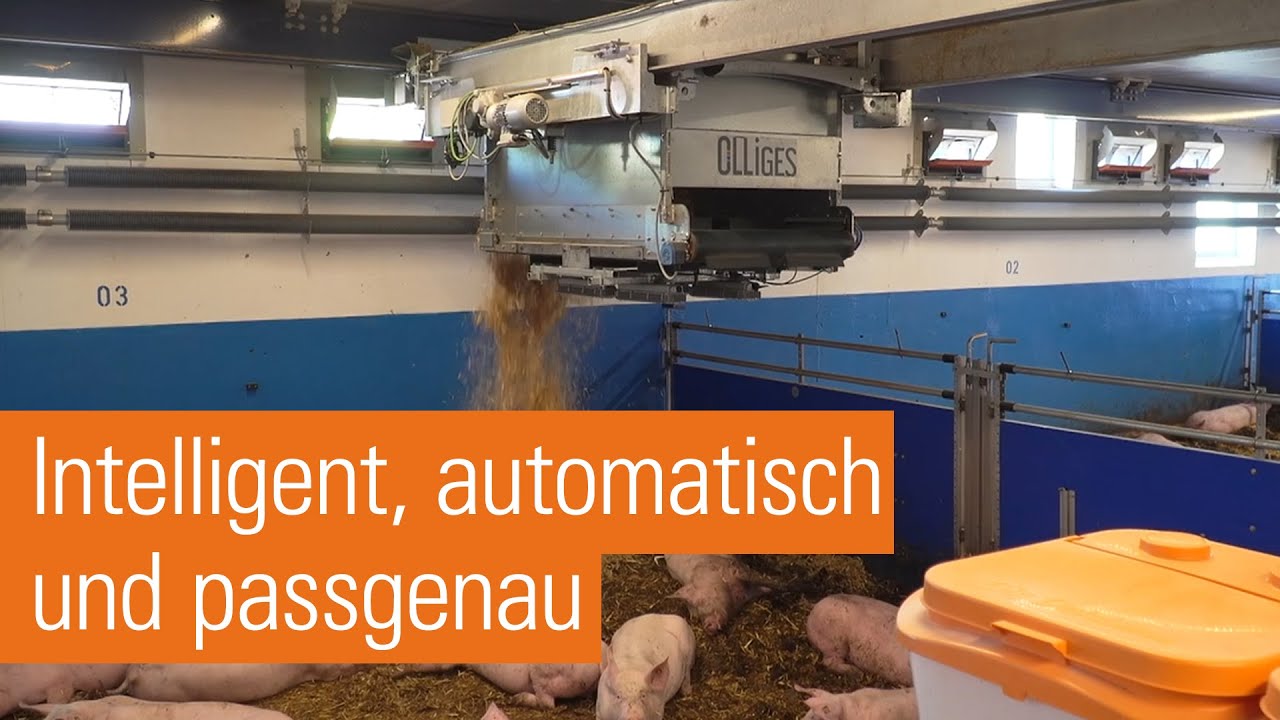Olli macht die Arbeit! | Strohroboter OlliGES