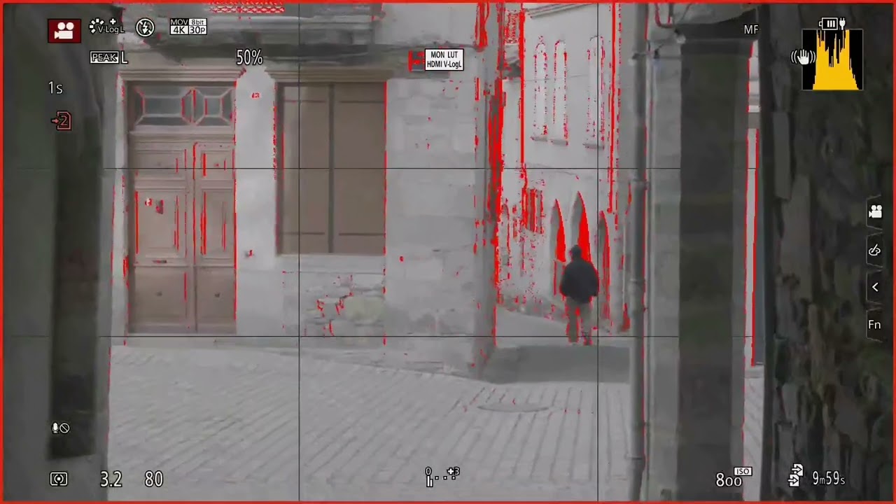 Real time views: Raveneye, Follow focus, focus peaking