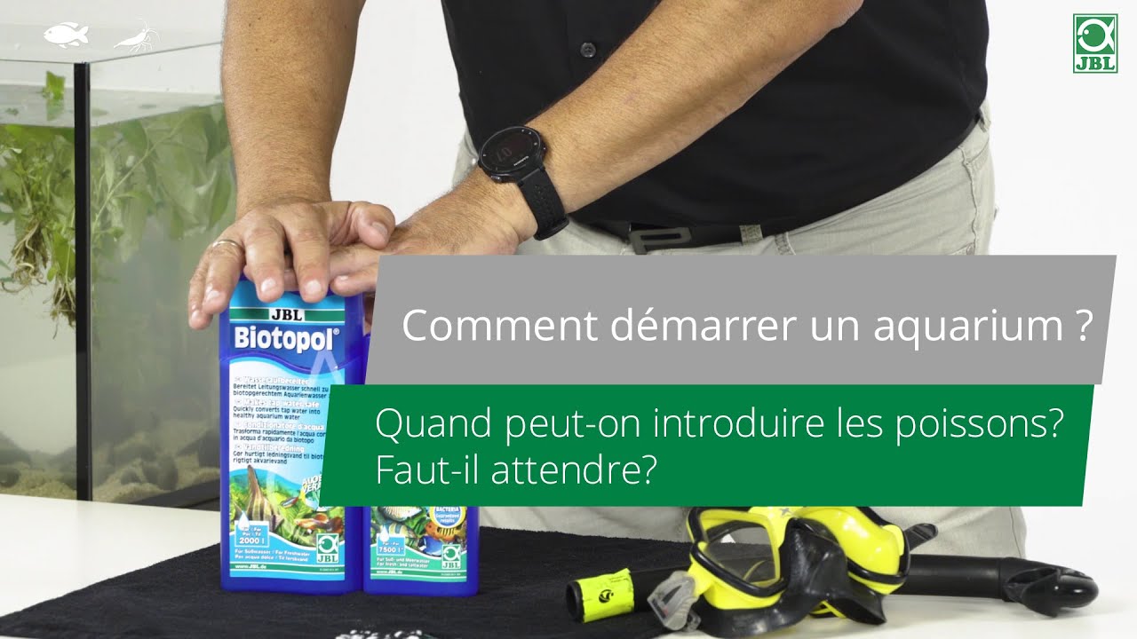 JBL TV #10 : Comment démarre-t-on un aquarium ?