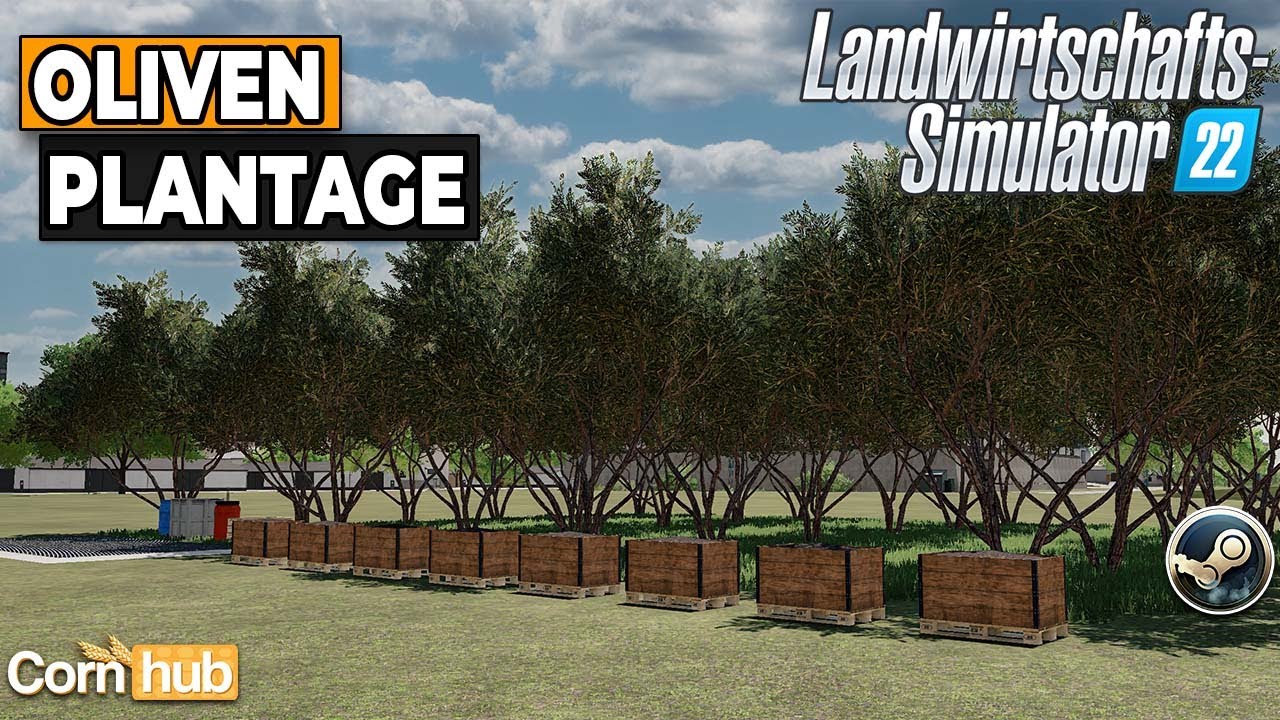 LS22 Mods - Oliven Plantage - LS22 Modvorstellung