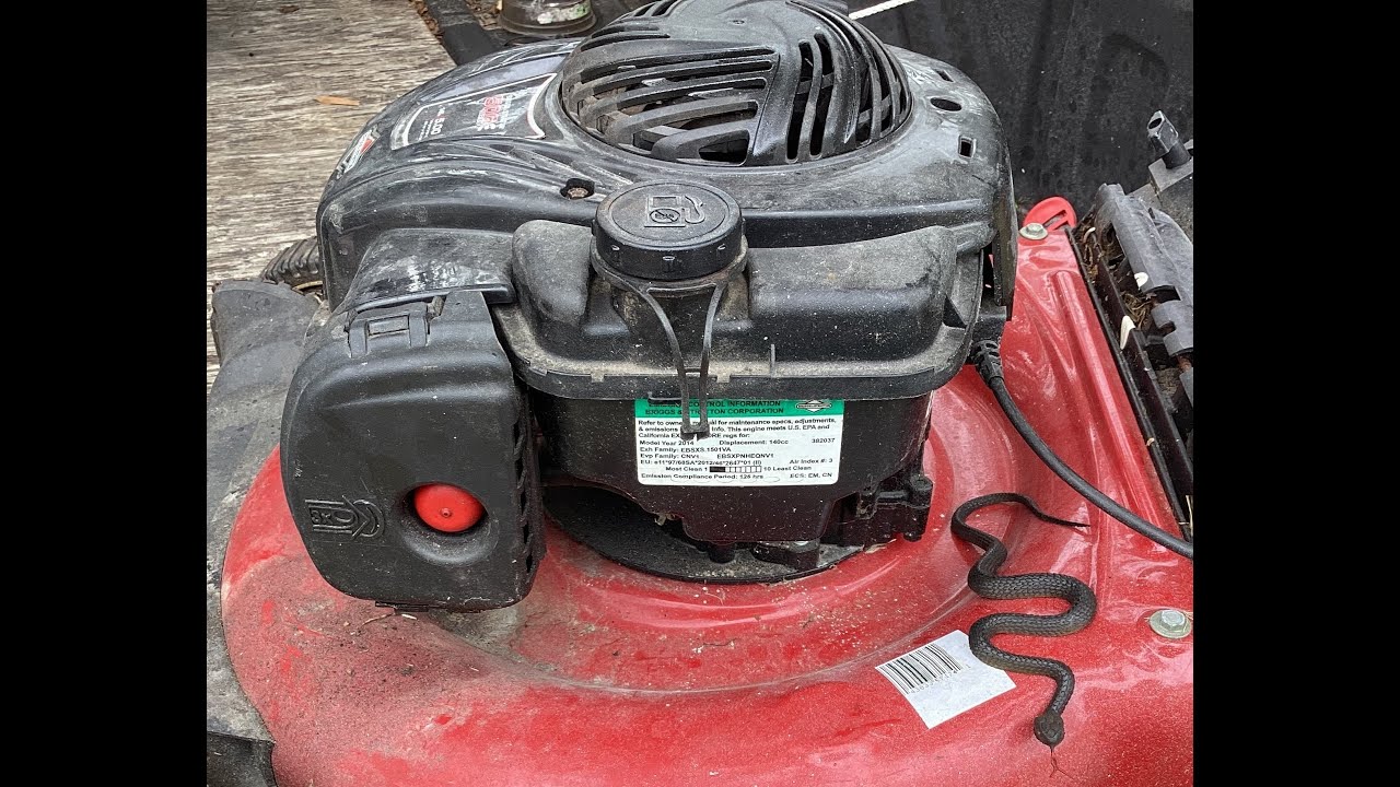 2014 Murray Lawn Mower Carburetor Clean and Service.