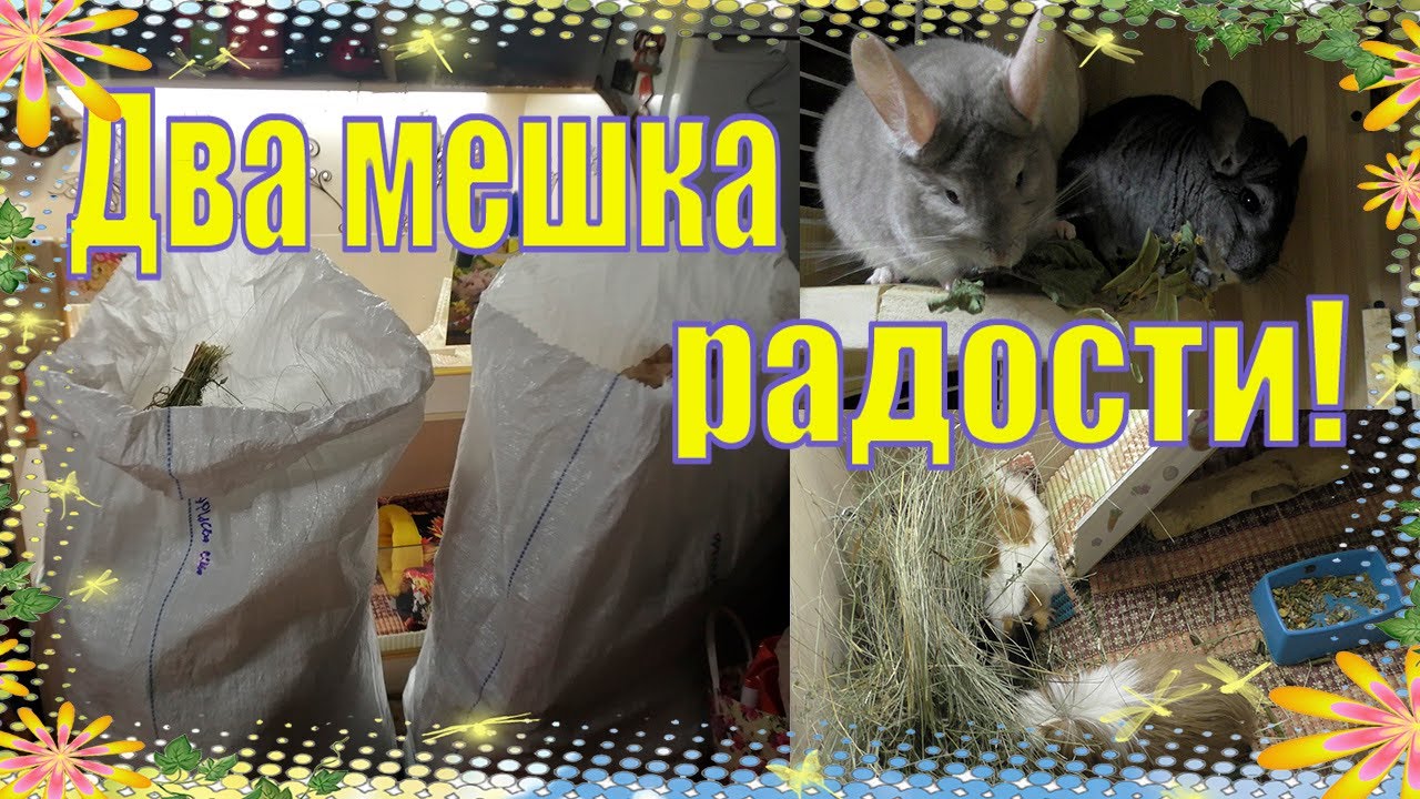 ДВА МЕШКА ВКУСНОСТЕЙ И ПОЛЕЗНОСТЕЙ  /ТРАВЫ ДЛЯ ШИНШИЛЛ