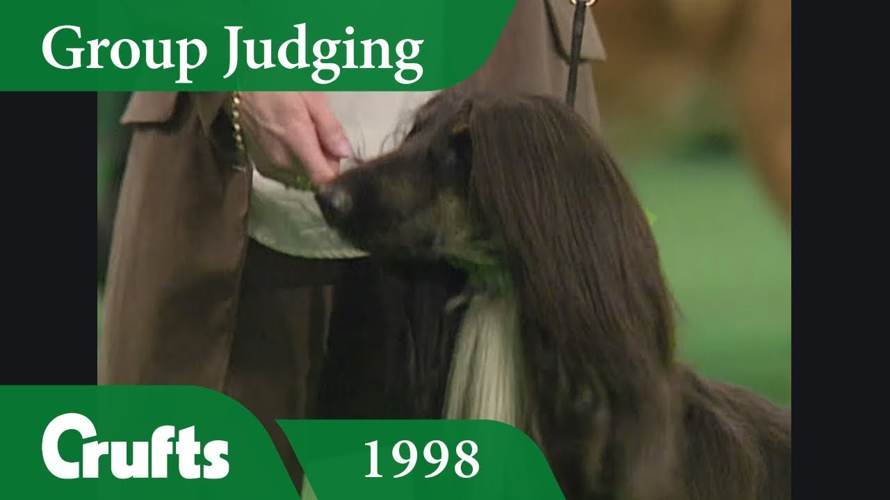 Afghan Hound wins Hound Group Judging at Crufts 1998