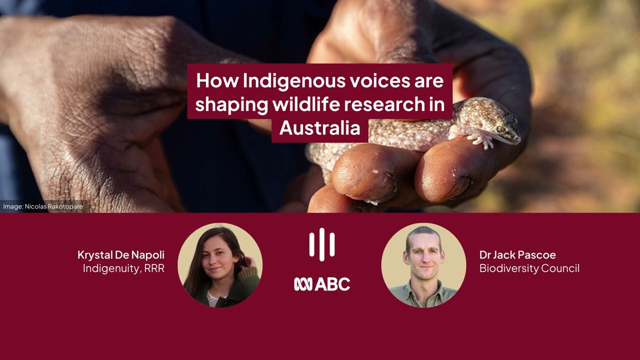 How Indigenous voices are shaping wildlife research in Australia