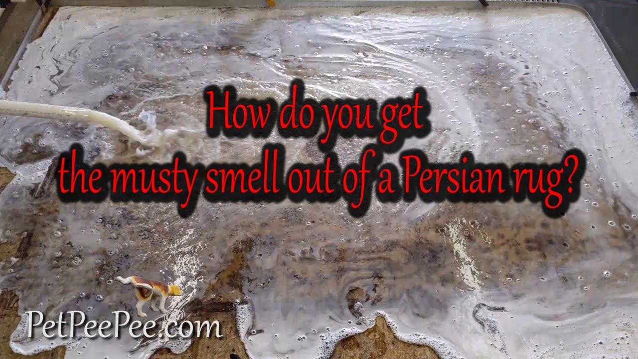 How do you get the must smell out of a Persian rug
