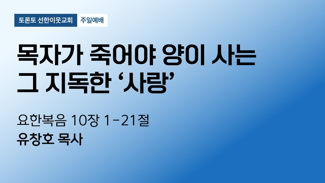 20260208 토론토 선한이웃교회 주일설교 | 목자가 죽어야 양이 사는 그 지독한 '사랑' (요 10:1-21) | 유창호 목사
