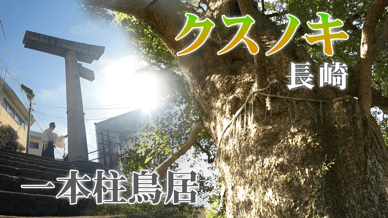 【我が魂は】長崎のクスノキと片足鳥居  山王神社