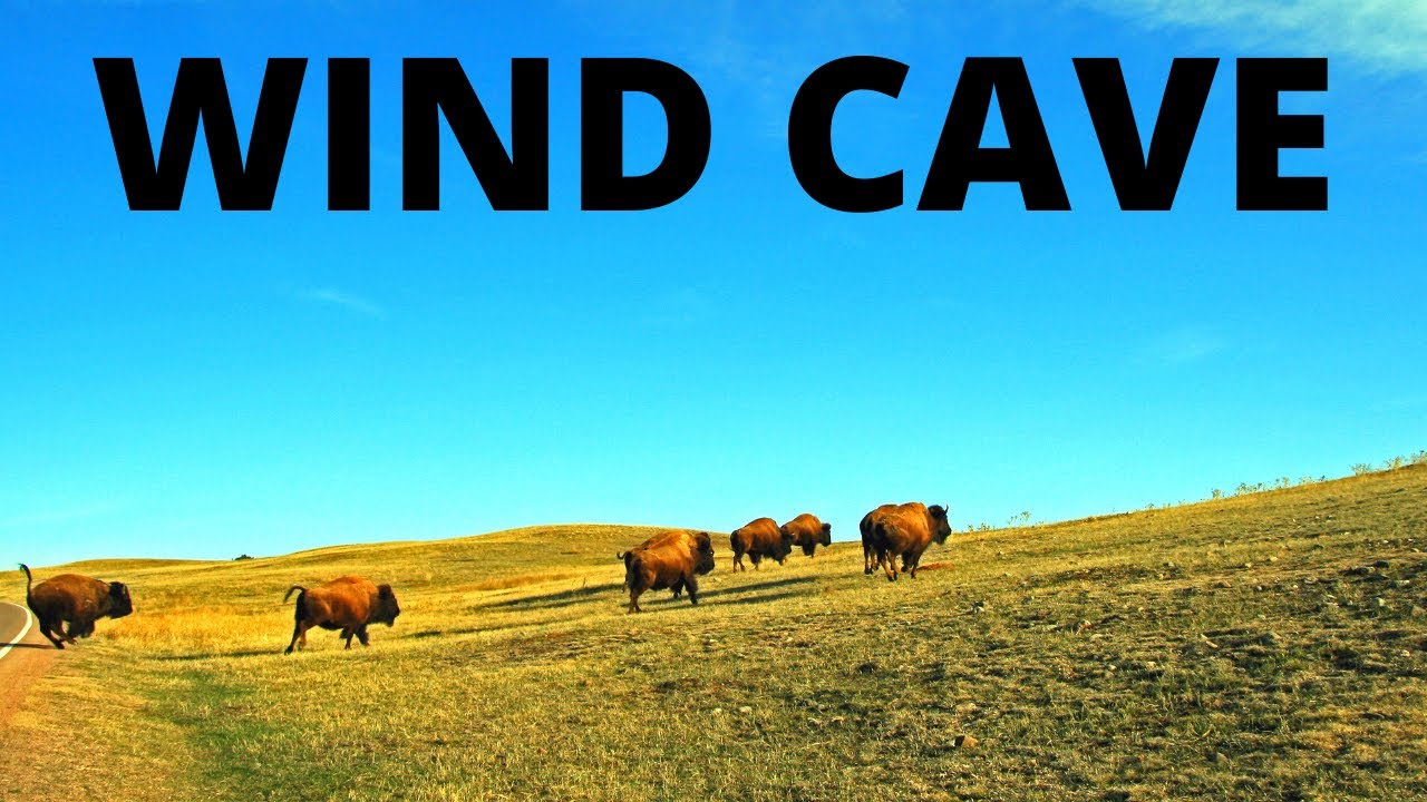Wind Cave National Park: 