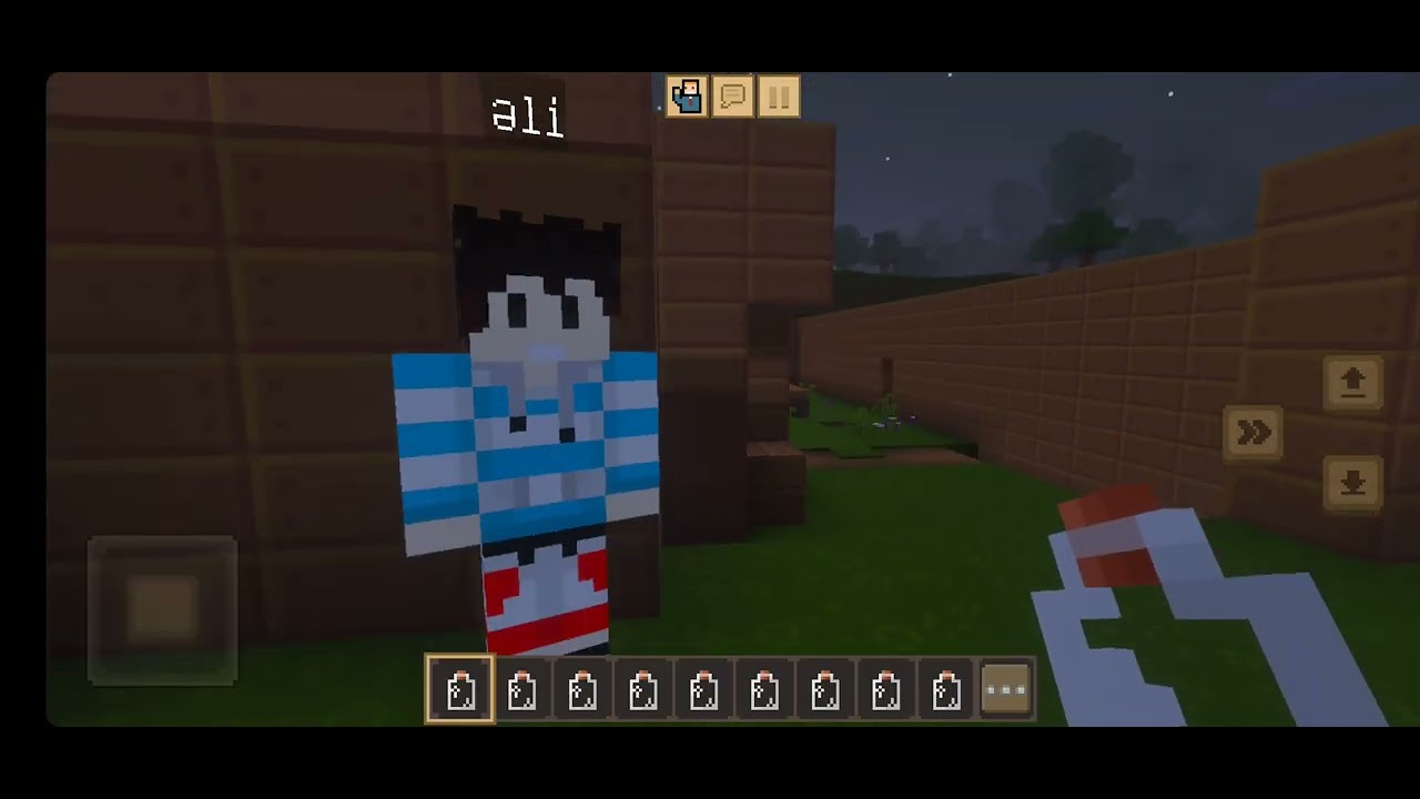 Huseyn vs minecraft 11