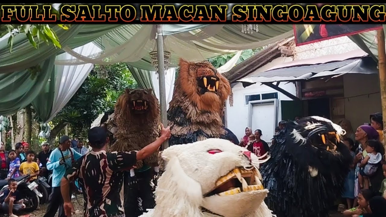 FULL|| ATRAKSI SALTO CAN MACANAN SINGOAGUNG DI DESA TUMPENG WONOSARI BONDOWOSO @singoagung 