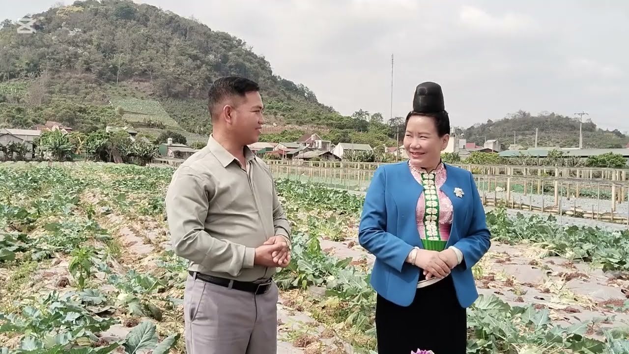 Xuân Quý -Mỹ Duyên Hát Hỏi Thăm Nhau mời pi nọng tỏn phăng 