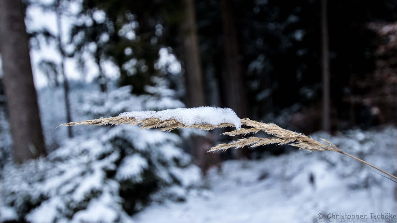 Winter in Bayern