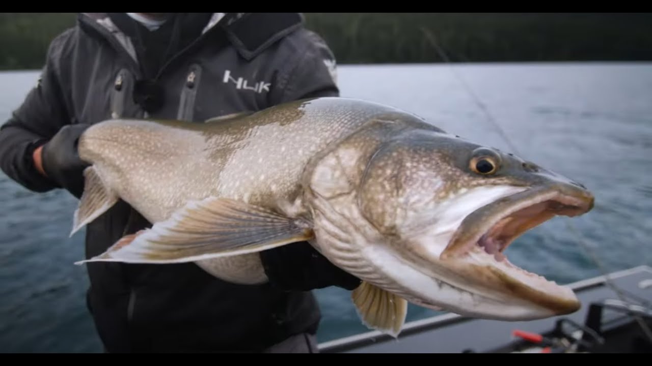 How to Target TROPHY LAKE TROUT:  Part One (Alpine Mackinaw of Oregon!)