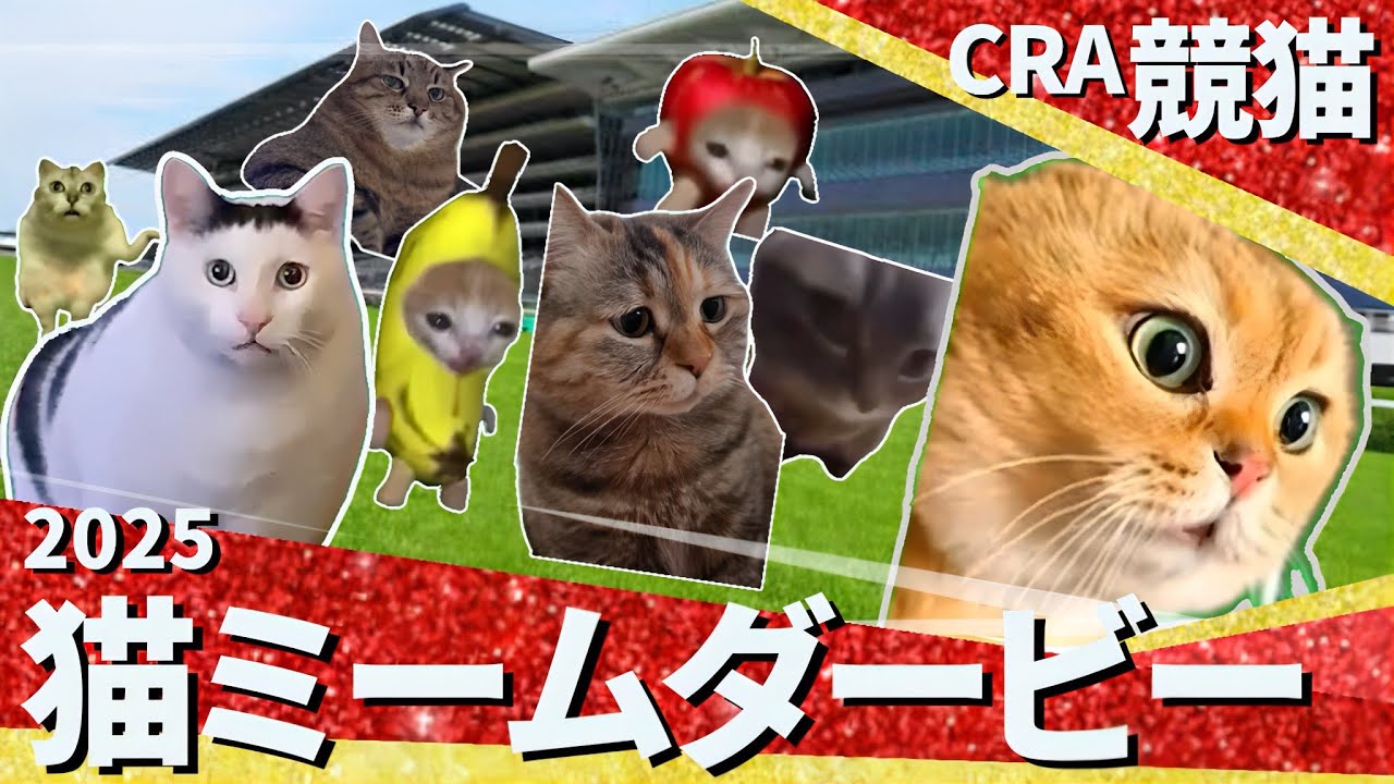2025年 猫ミームダービー（G I） │ Cat Memes Derby Race!!【猫ミーム】【日本ダービー】