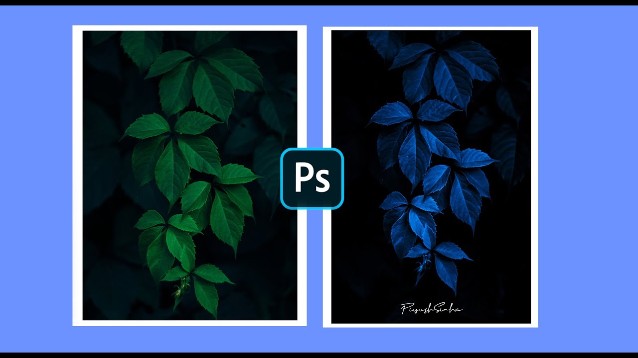 Cyan Blue Leaf Color Grading Effect 🌿 | Photoshop Tutorial | CreatorSpace