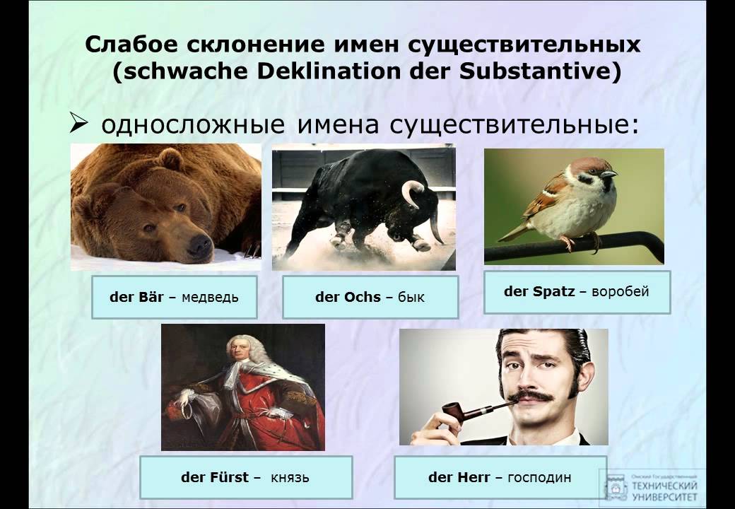 4. Склонение имен существительных.  Грамматика немецкого языка