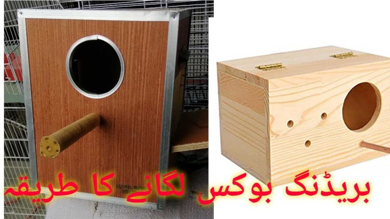 breeding box lagane ka tarika
