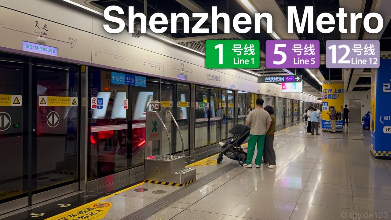 Exploring Shenzhen Metro Lines 1, 5, & 12: Onboard Rides & Action - November 1, 2025