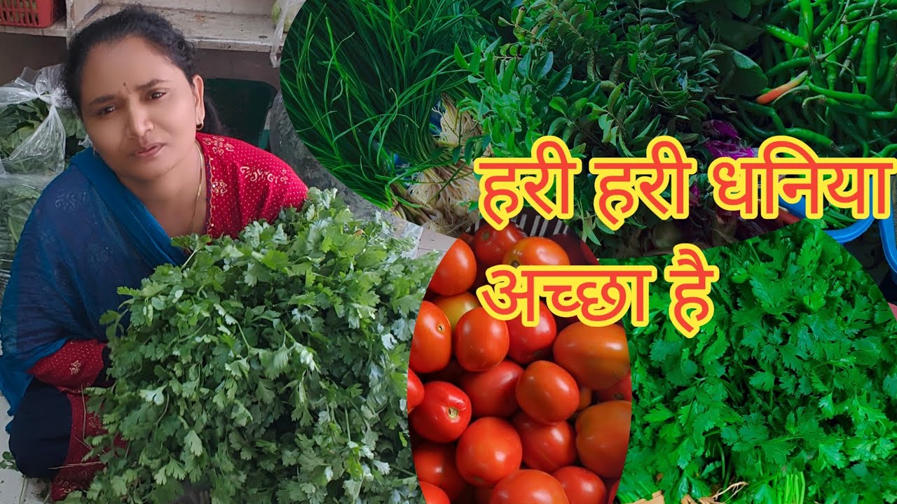 हरी हरी सब्जी धनिया मिर्ची प्याज ले थे आज