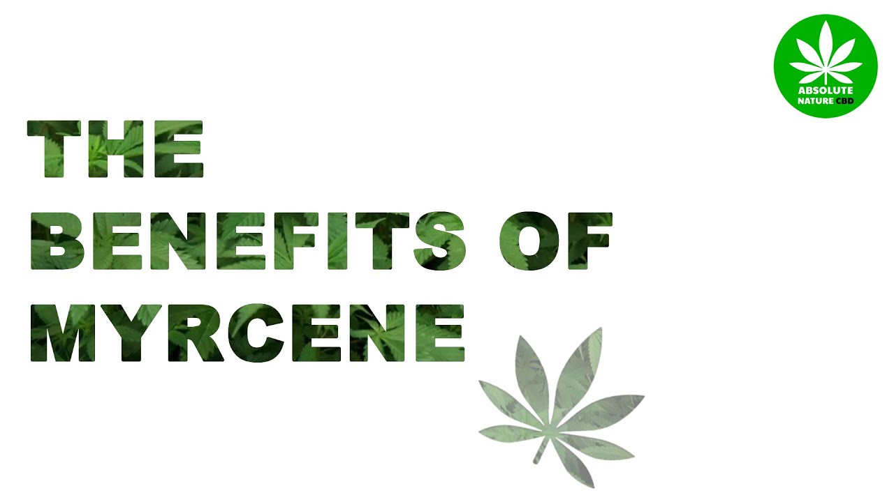 Myrcene Terpene Overview: The Benefits of Myrcene - b-myrcene, Beta Myrcene. Terpene Education