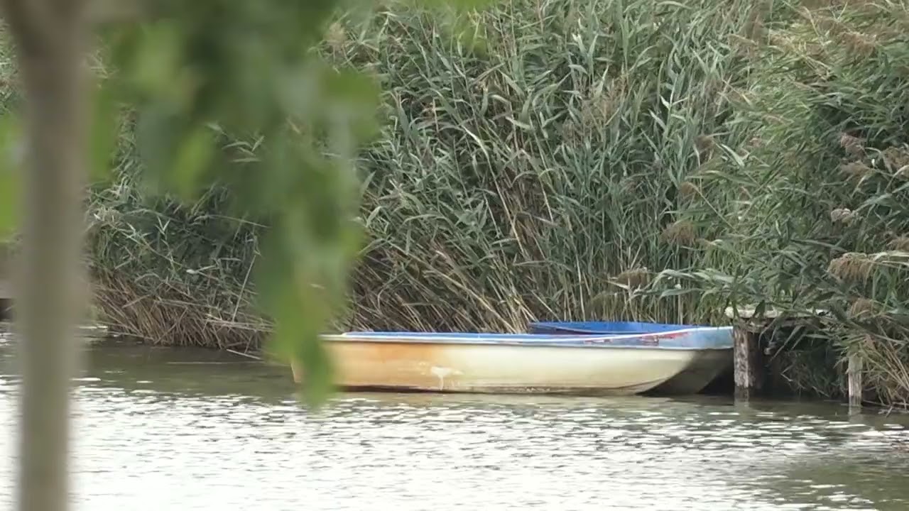 Znaci moga mesta - Jezero Jamura