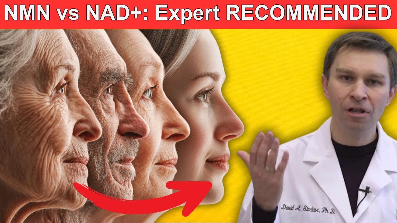 Should You Take NMN or NAD Injections - What Did Dr. David Sinclair Say?