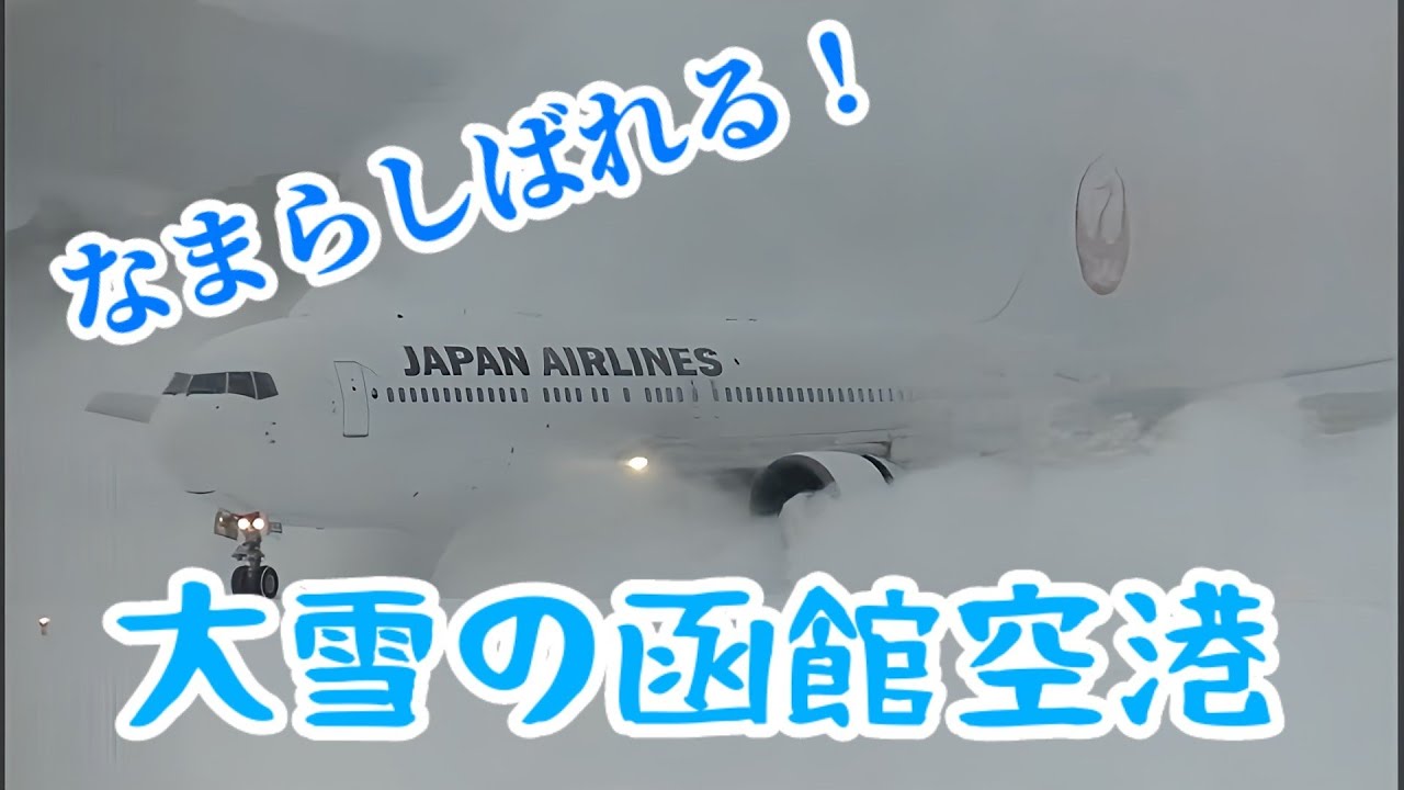 【しばれる！　かじかむ！！】なんまら寒いっけさ！！吹雪の函館空港