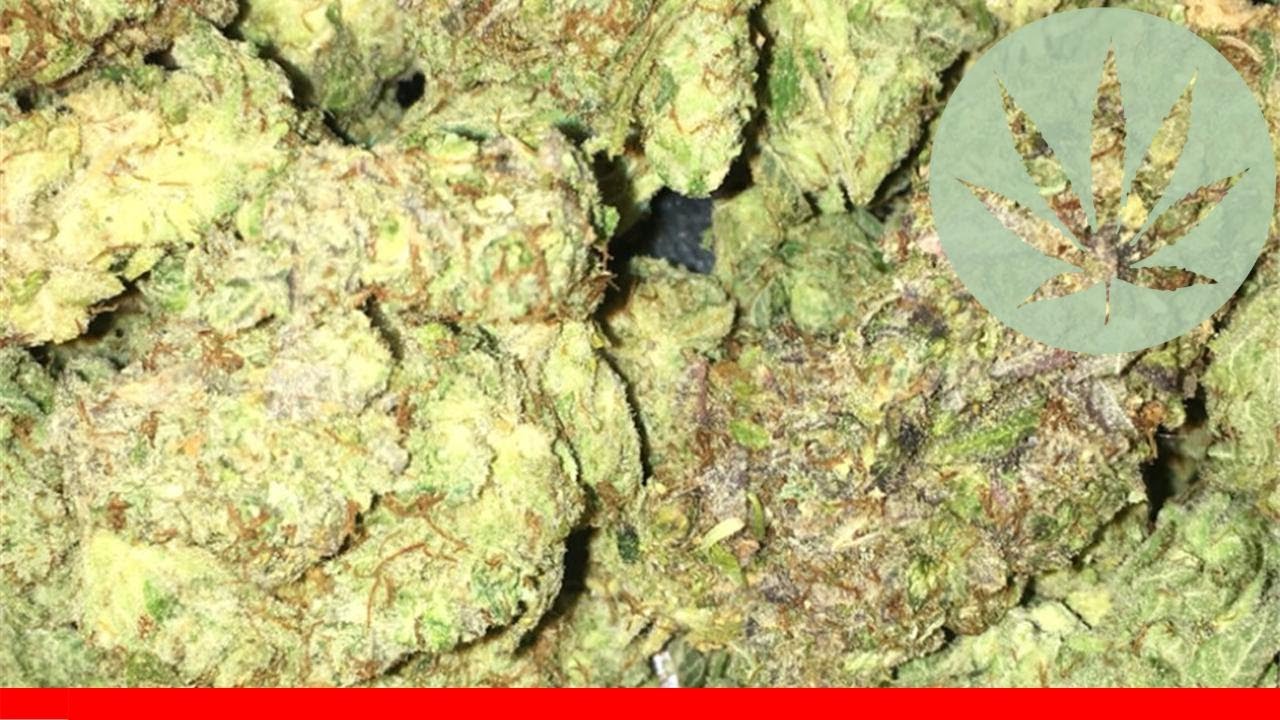 Lemon Walker Og - All About This Strain