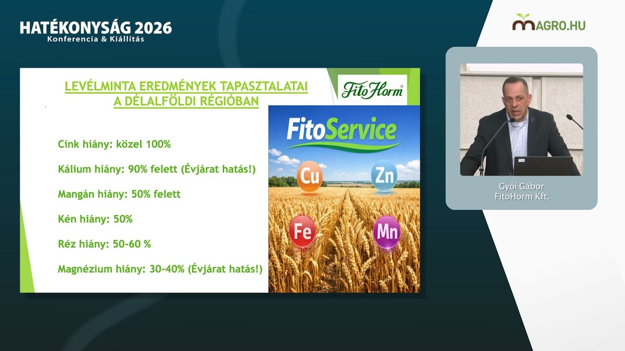 Érzések helyett mérések – mikroelemekről másképpen – Gyói Gábor // HATÉKONYSÁG 2026