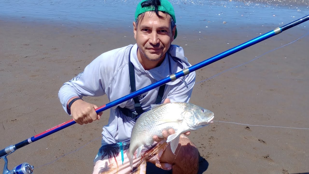 SE DIERON LAS CORVINAS DE COSTA( MONTE HERMOSO)