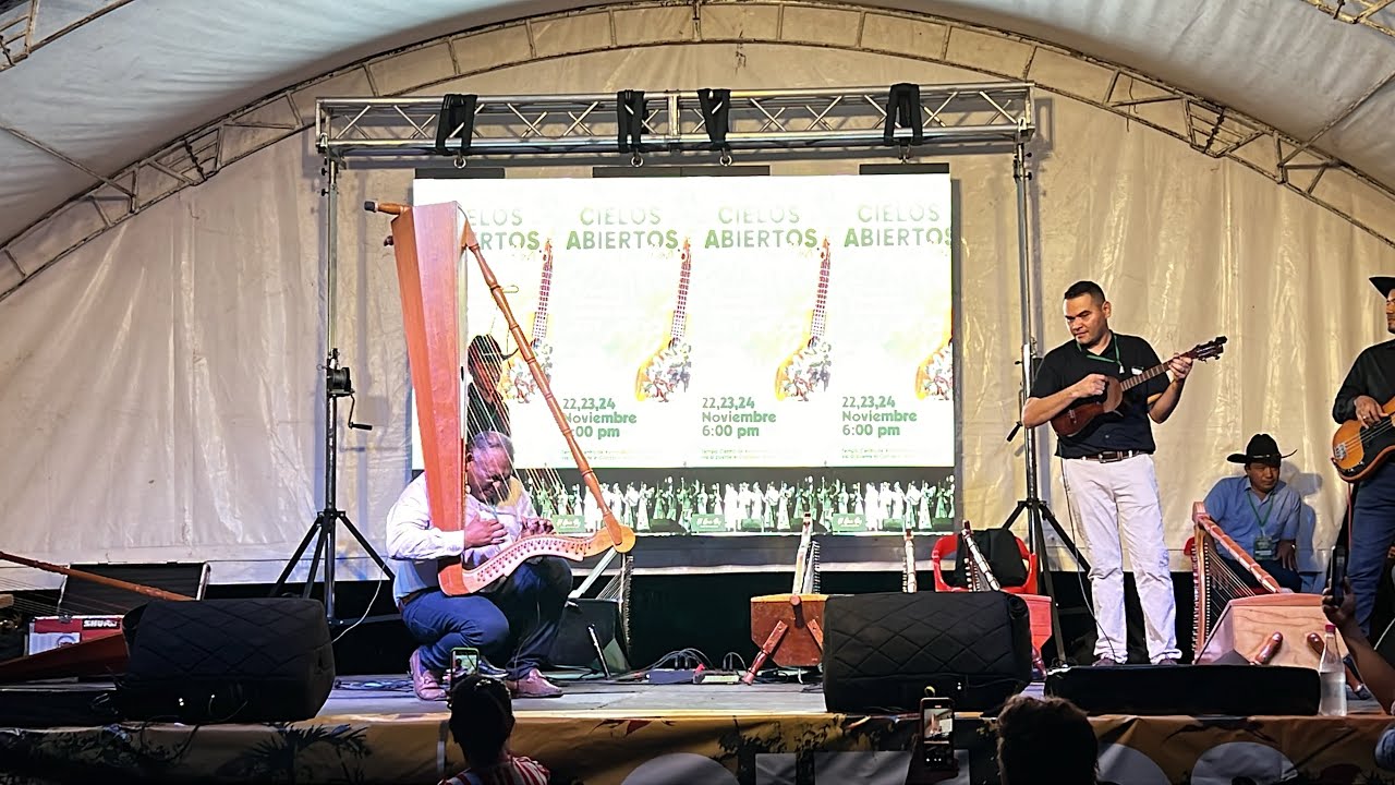 Show de Arpa - Pedro Elaica