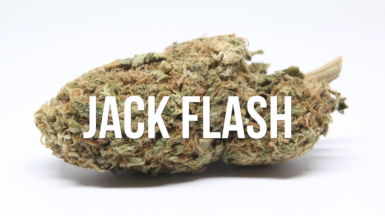 Jack Flash Strain Review