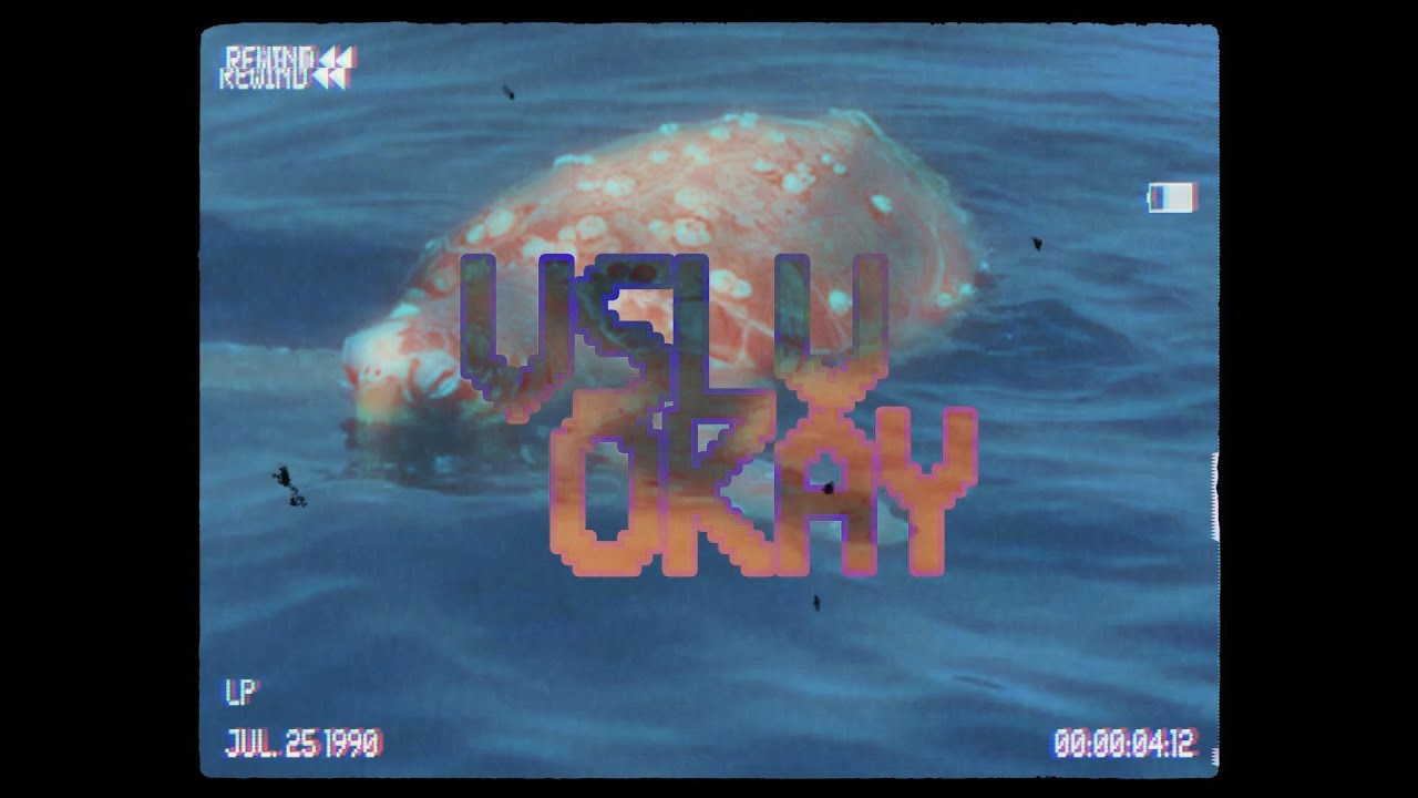 VSLV - OKAY (Official Video)
