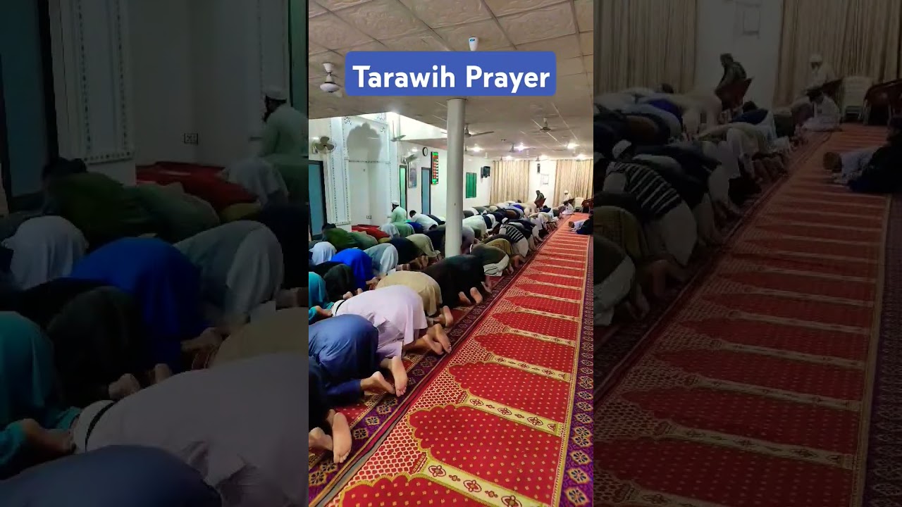 Trawih prayer | Namaz E Trawih #praying #namaz #Trawih #nimaz #sajda #sajdy #naat
