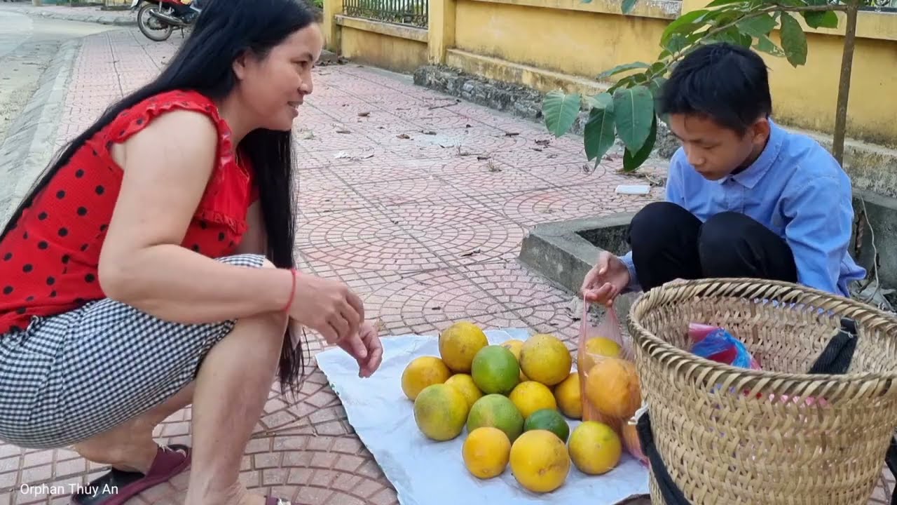 VIDEO FULL: 95 Days Harvesting Agricultural Products Goes to the market sell  - Daily Life