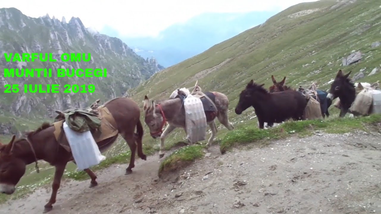 VARFUL OMU (DE LA PIATRA ARSA LA CABANA OMU, 25 IULIE 2019)