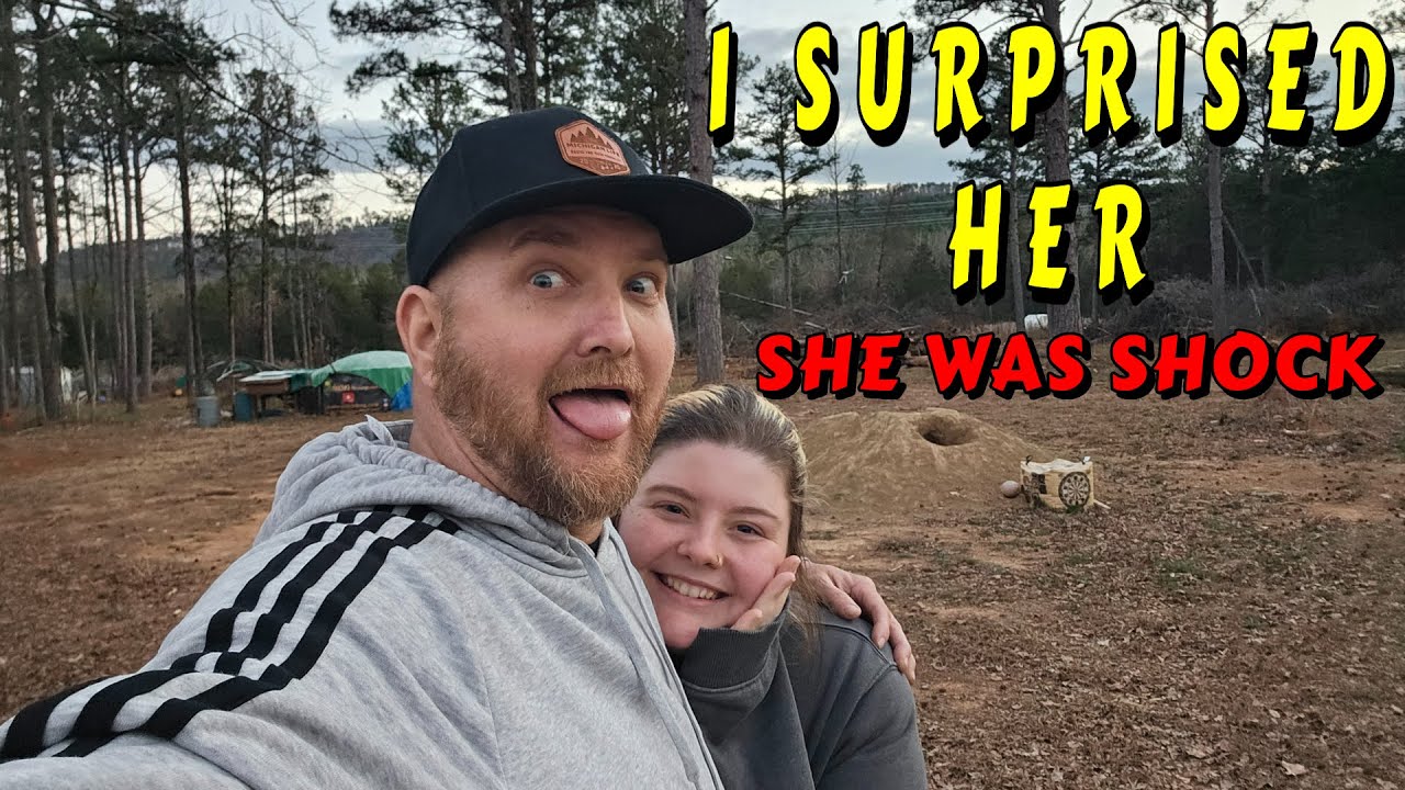 PROGRESS MADE IT'S THE LITTLE THINGS |tiny house, homesteading, off-grid, cabin build, DIY HOW TO